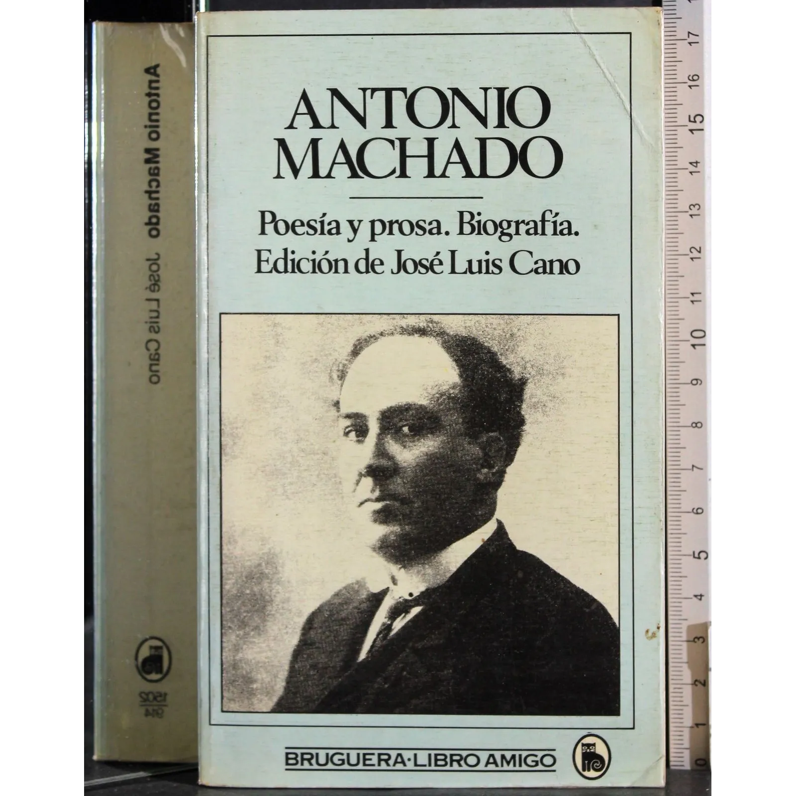 Antonio Machado. Poesia y prosa. Biografia