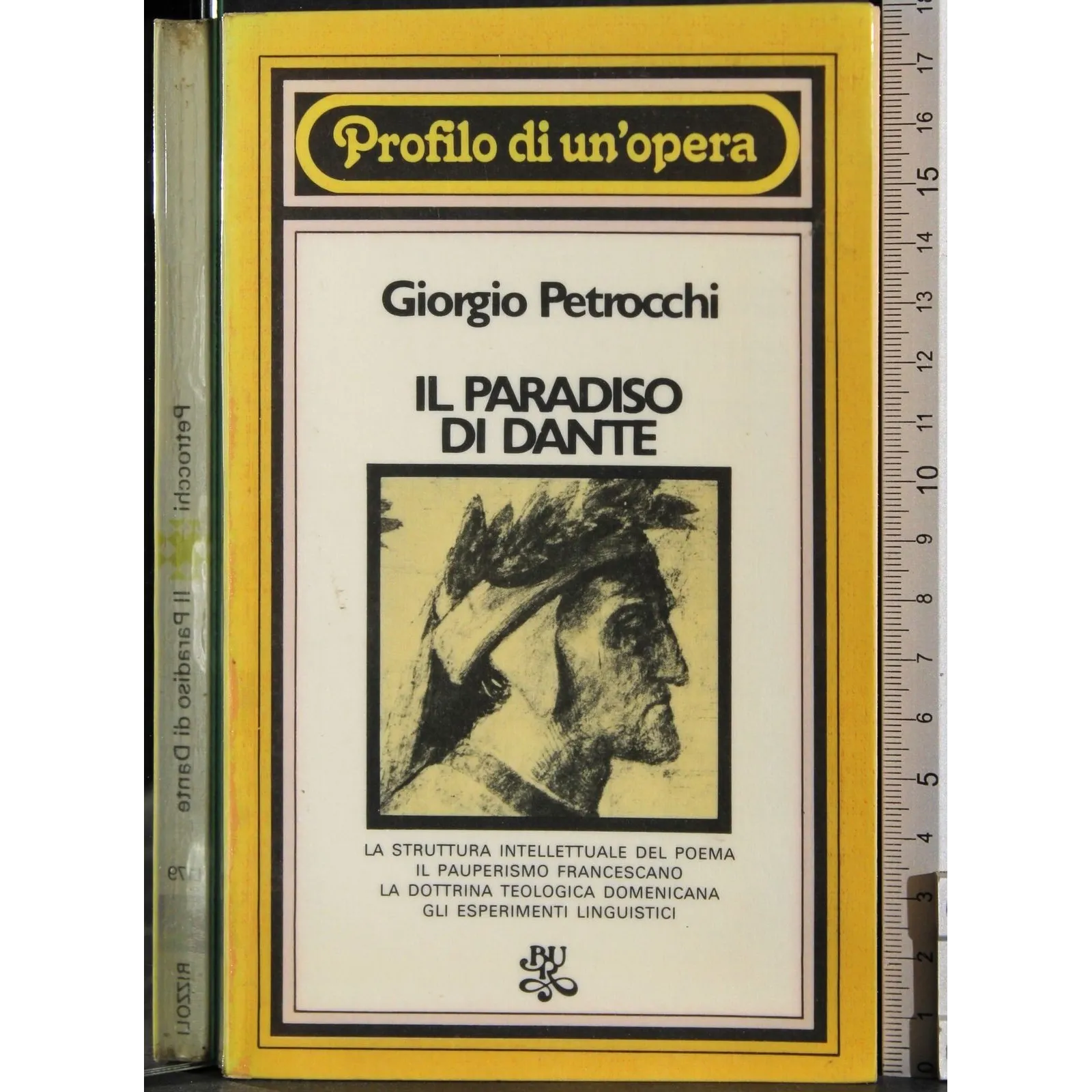 Profilo di un'opera. Il Paradiso di Dante