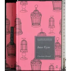 I classici del romanzo. Jane Eyre