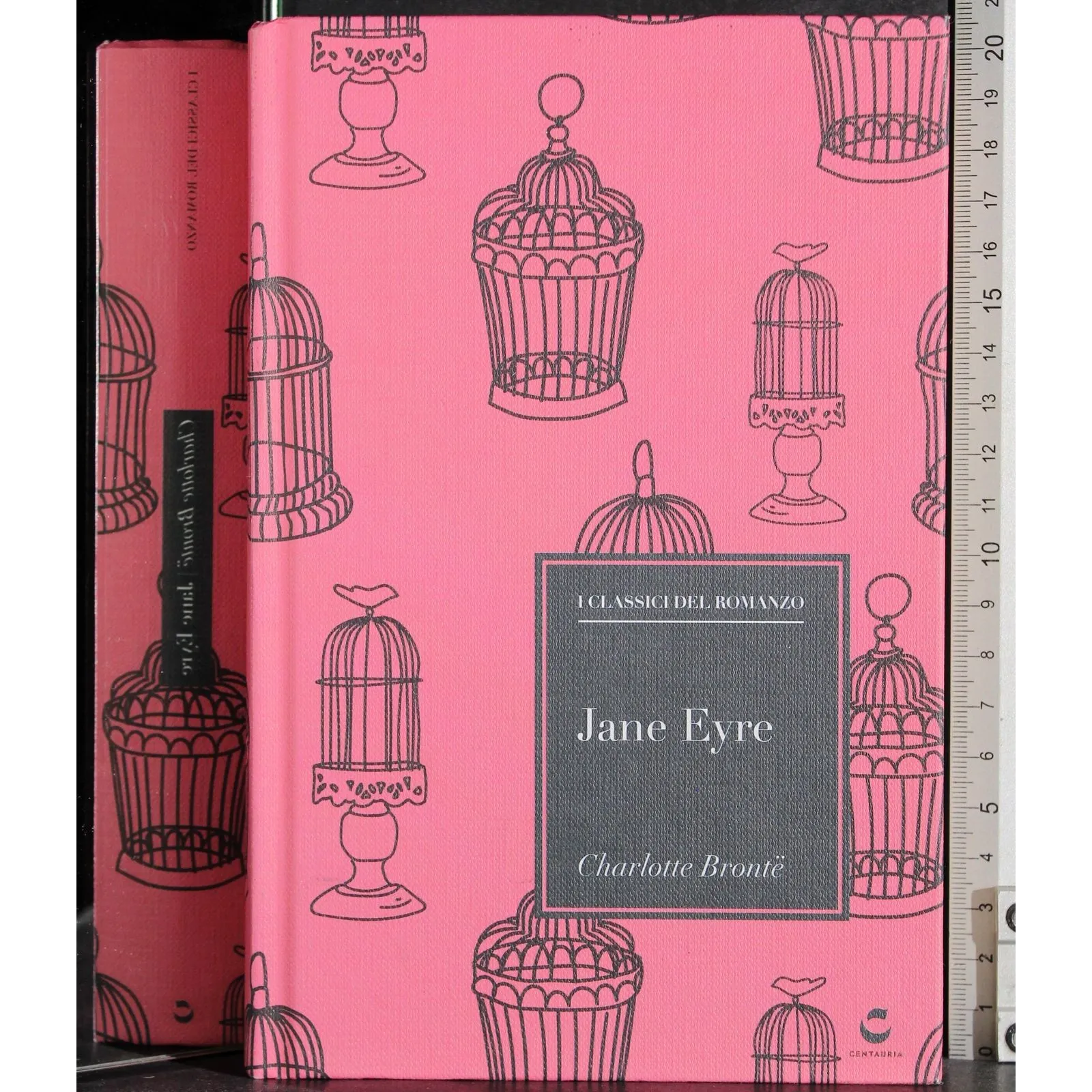 I classici del romanzo. Jane Eyre