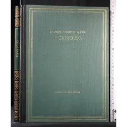 L'OPERA COMPLETA DEL PISANELLO