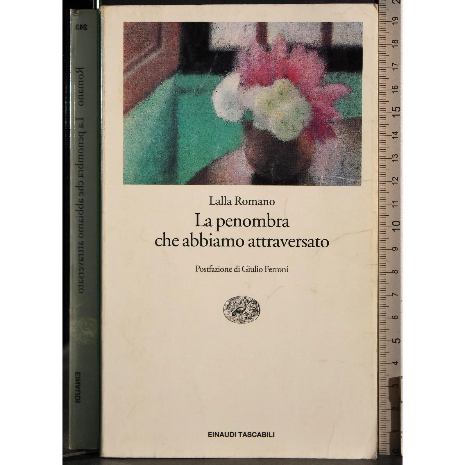 La penombra che abbiamo attraversato