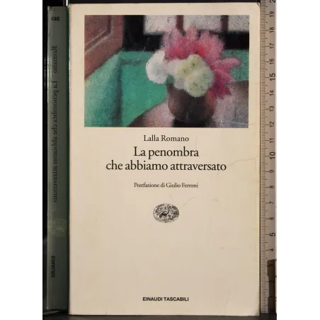 La penombra che abbiamo attraversato