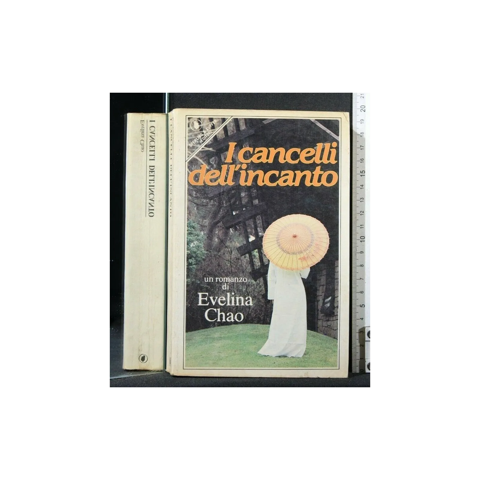 I CANCELLI DELL'INCANTO