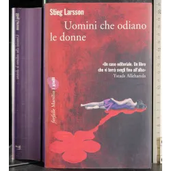 Uomini che odiano le donne