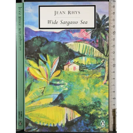 Wide Sargasso Sea