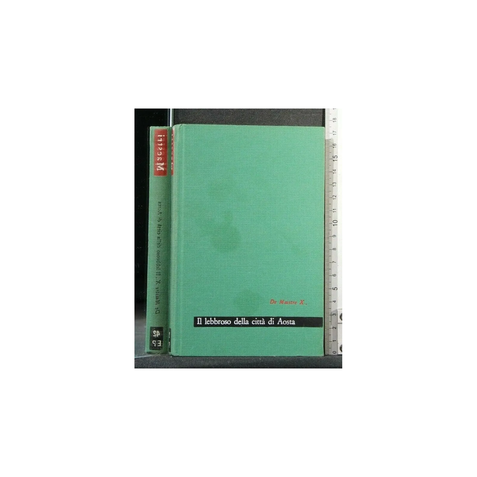 MAESTRI IL LEBBROSO DELLA CITTA' DI AOSTA