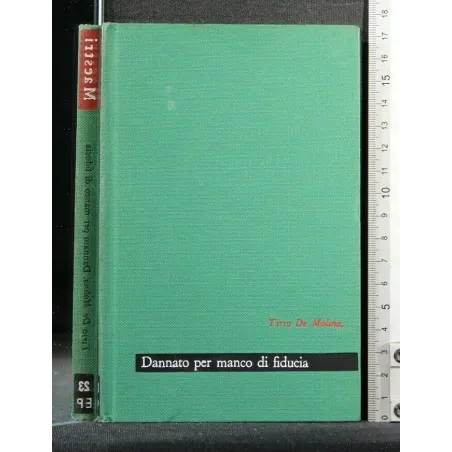 MAESTRI DANNATO PER MANCO DI FIDUCIA