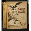 NOVELLE UMANE