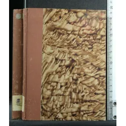 GUIDE DE L'ETUDIANT EN HISTOIRE ANCIENNE