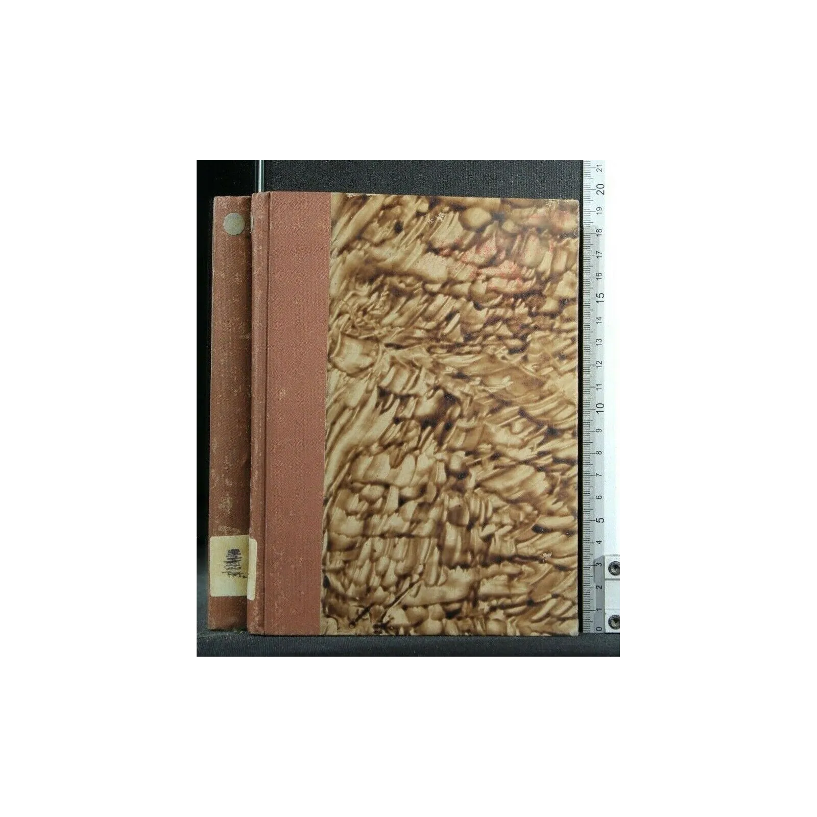 GUIDE DE L'ETUDIANT EN HISTOIRE ANCIENNE