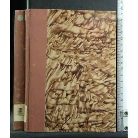 GUIDE DE L'ETUDIANT EN HISTOIRE ANCIENNE