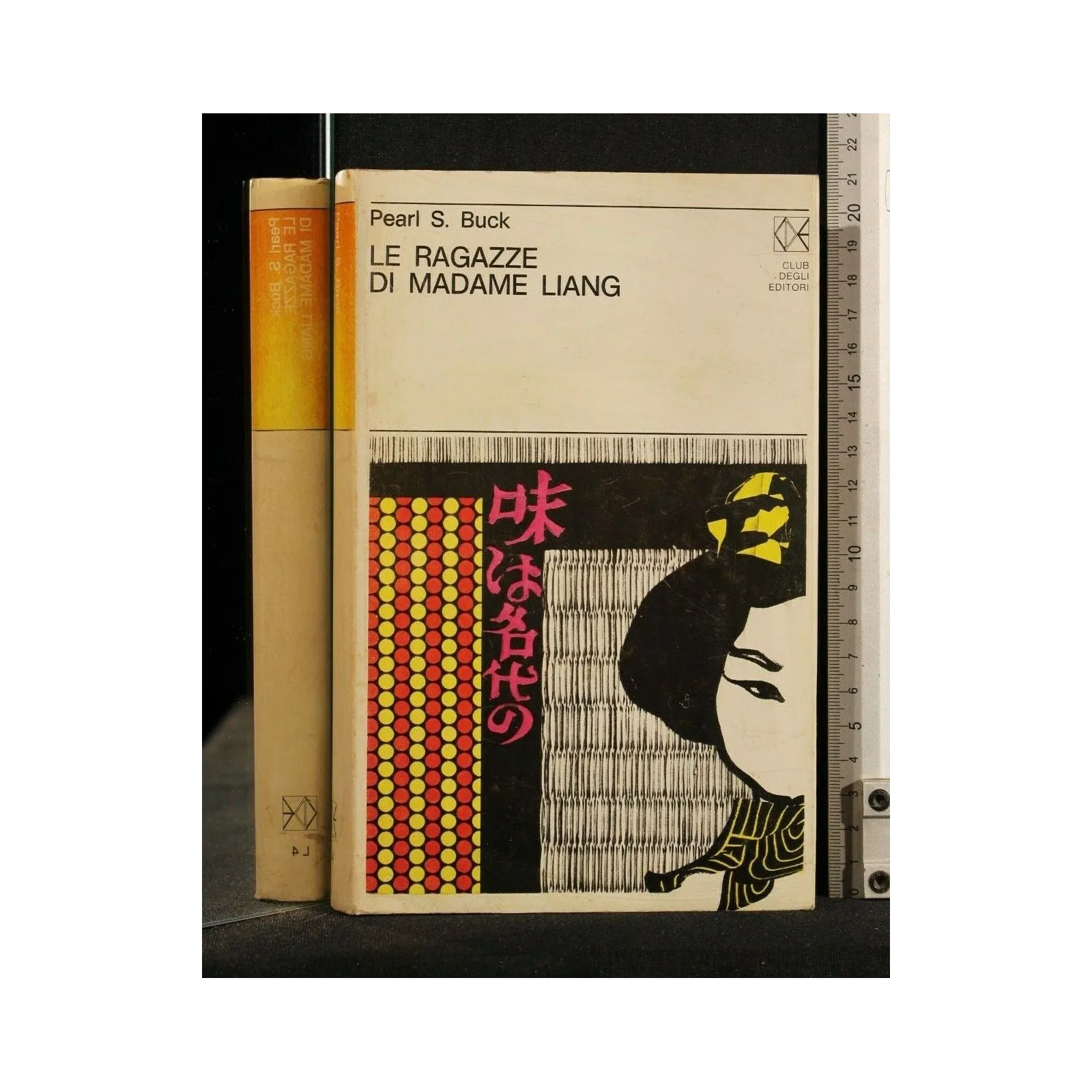 LE RAGAZZE DI MADAME LIANG