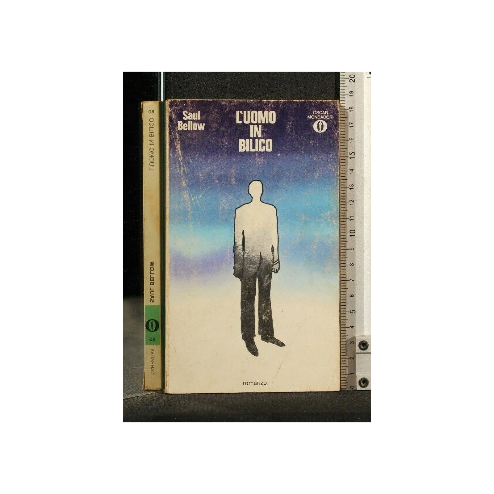 L'UOMO IN BILICO