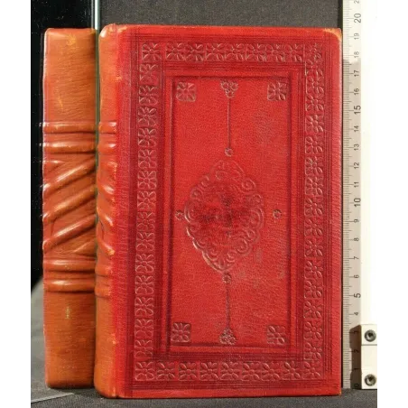 LES AMANTS SINGULIERS