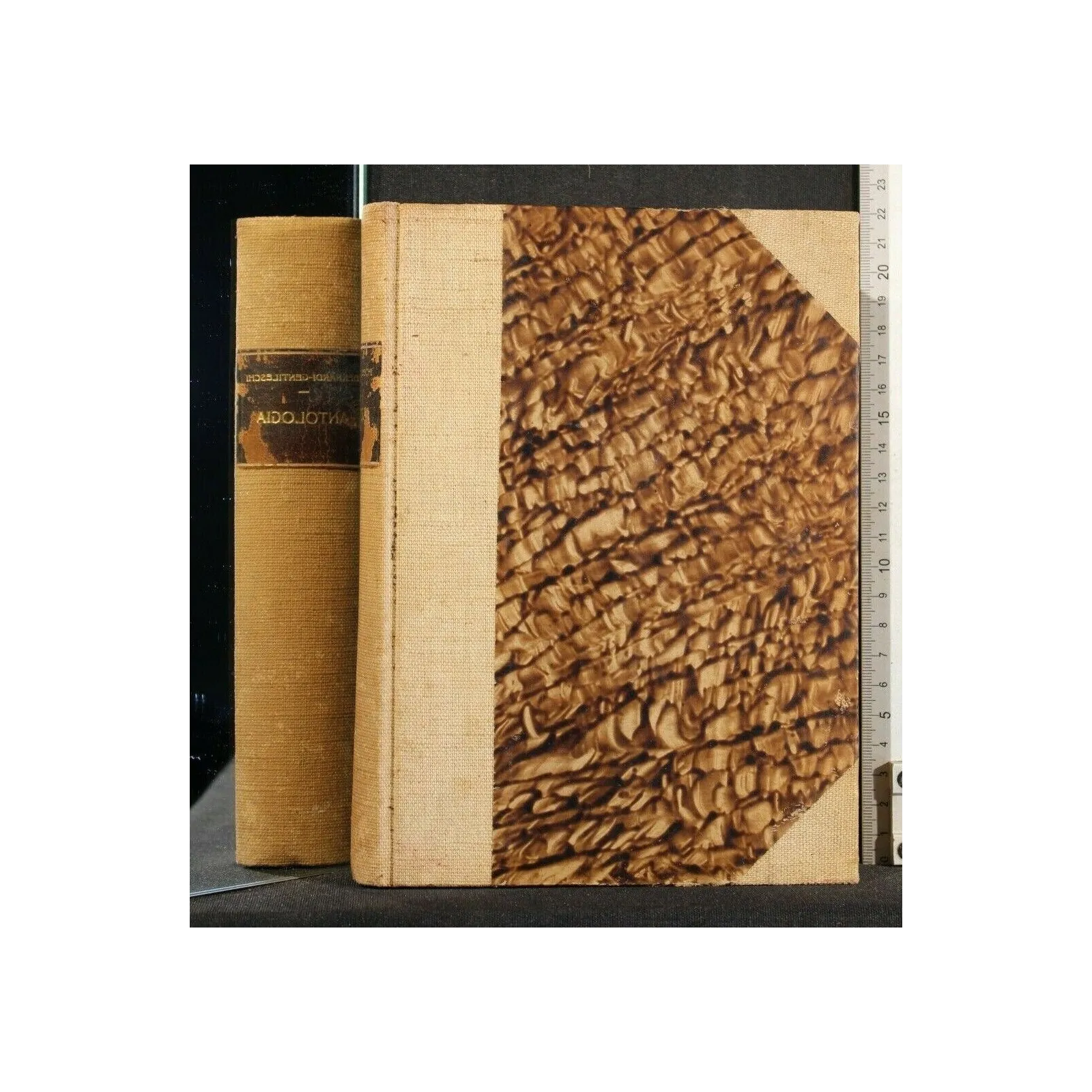 INCONTRI CON LA VITA