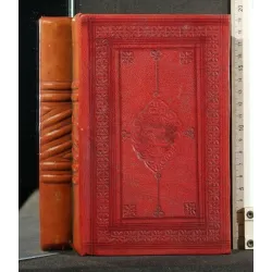 LUI OU LES FEMMES ET L'AMOUR