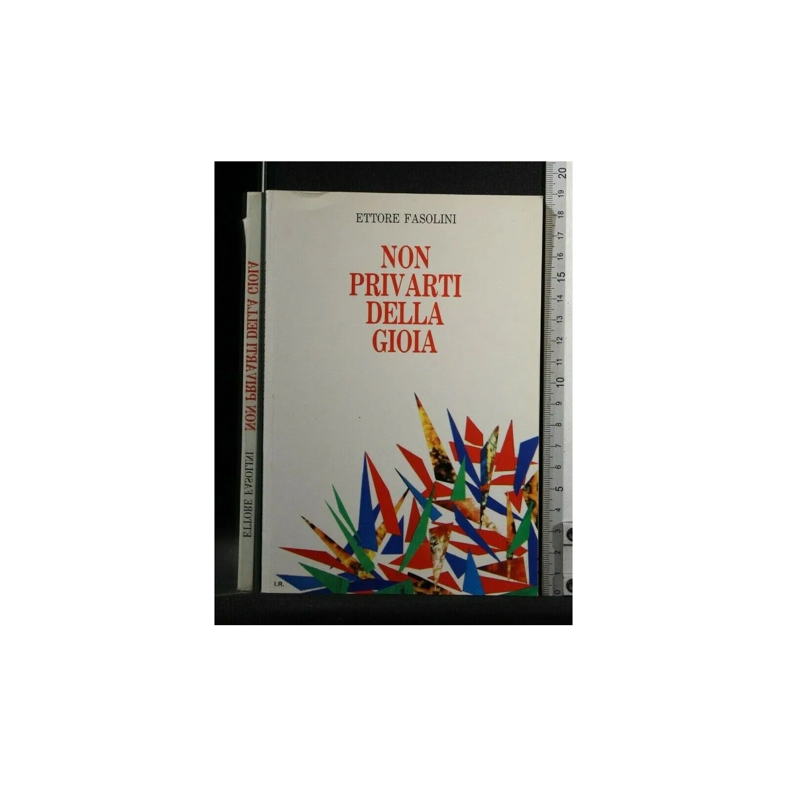 NON PRIVARTI DELLA GIOIA