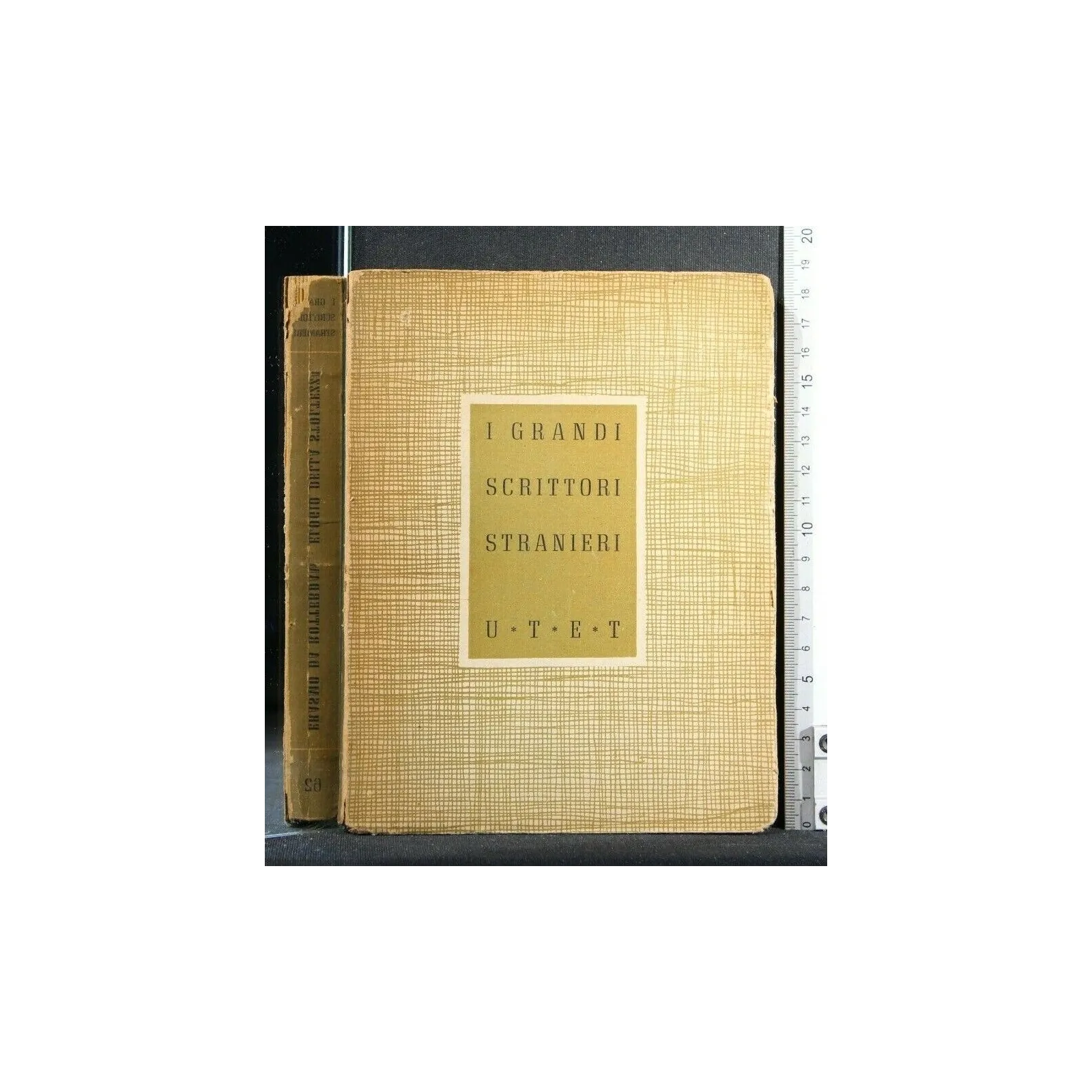 I GRANDI SCRITTORI STRANIERI ELOGIO ALLA STOLTEZZA