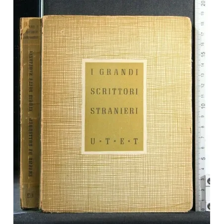 I GRANDI SCRITTORI STRANIERI ELOGIO ALLA STOLTEZZA