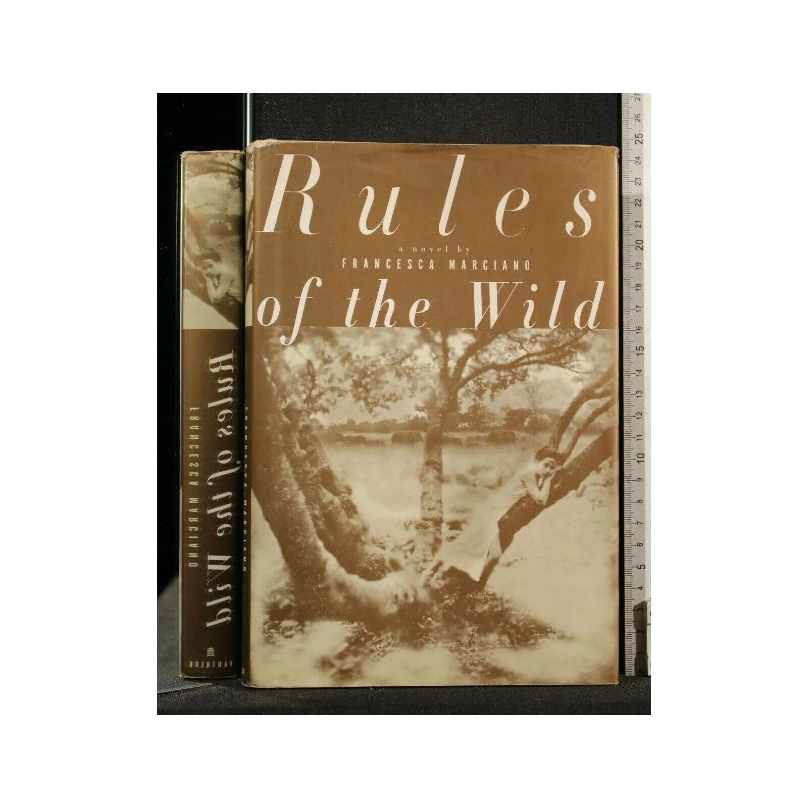 RULES OF THE WILD