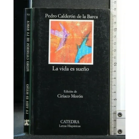 LA VIDA ES SUENO