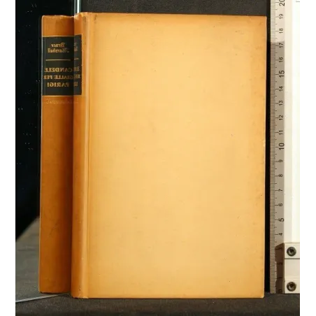 CANDELE GIALLE PER PARIGI