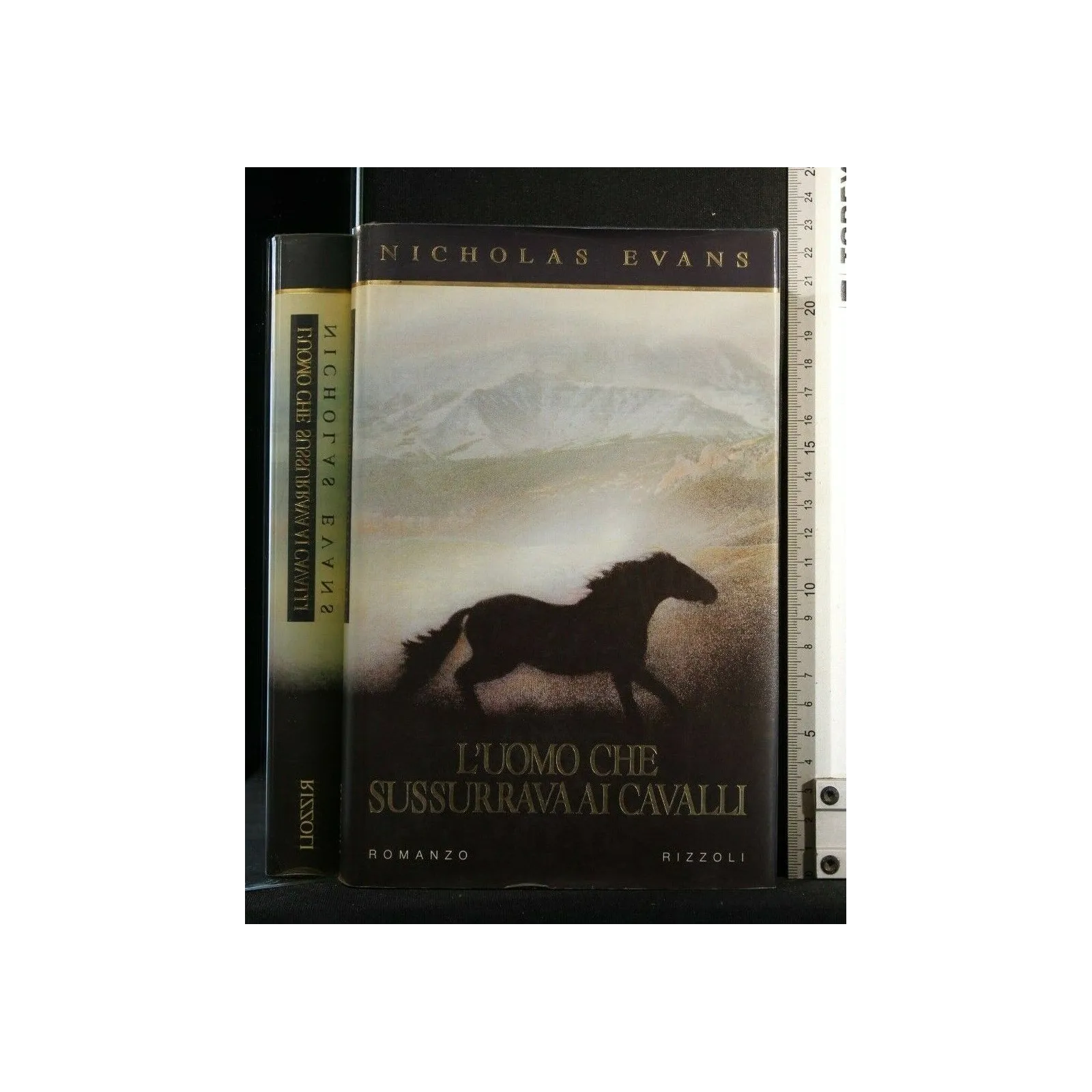 L'UOMO CHE SUSSURRAVA AI CAVALLI