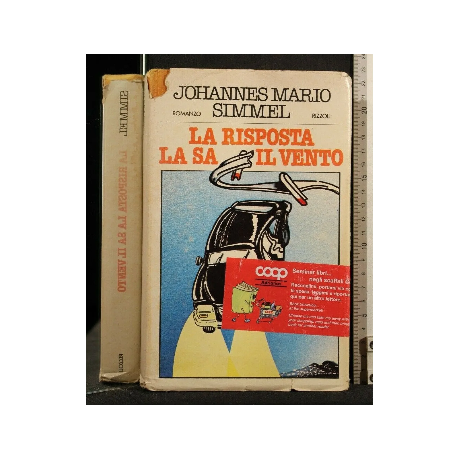 LA RISPOSTA LA SA IL VENTO