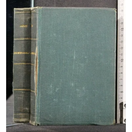 L'ASSOMMOIR (LO SCANNATOIO)