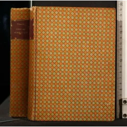 LA CITTA' CHE CAMMINA