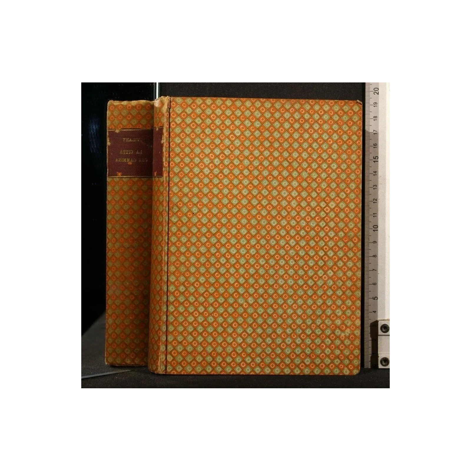 LA CITTA' CHE CAMMINA