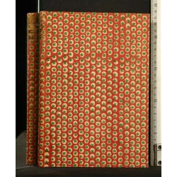 LA CONQUETE DE PLASSANS