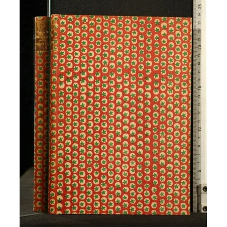 LA CONQUETE DE PLASSANS