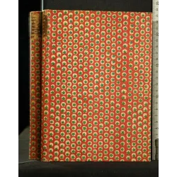 LE FEMME NUE POLICHE