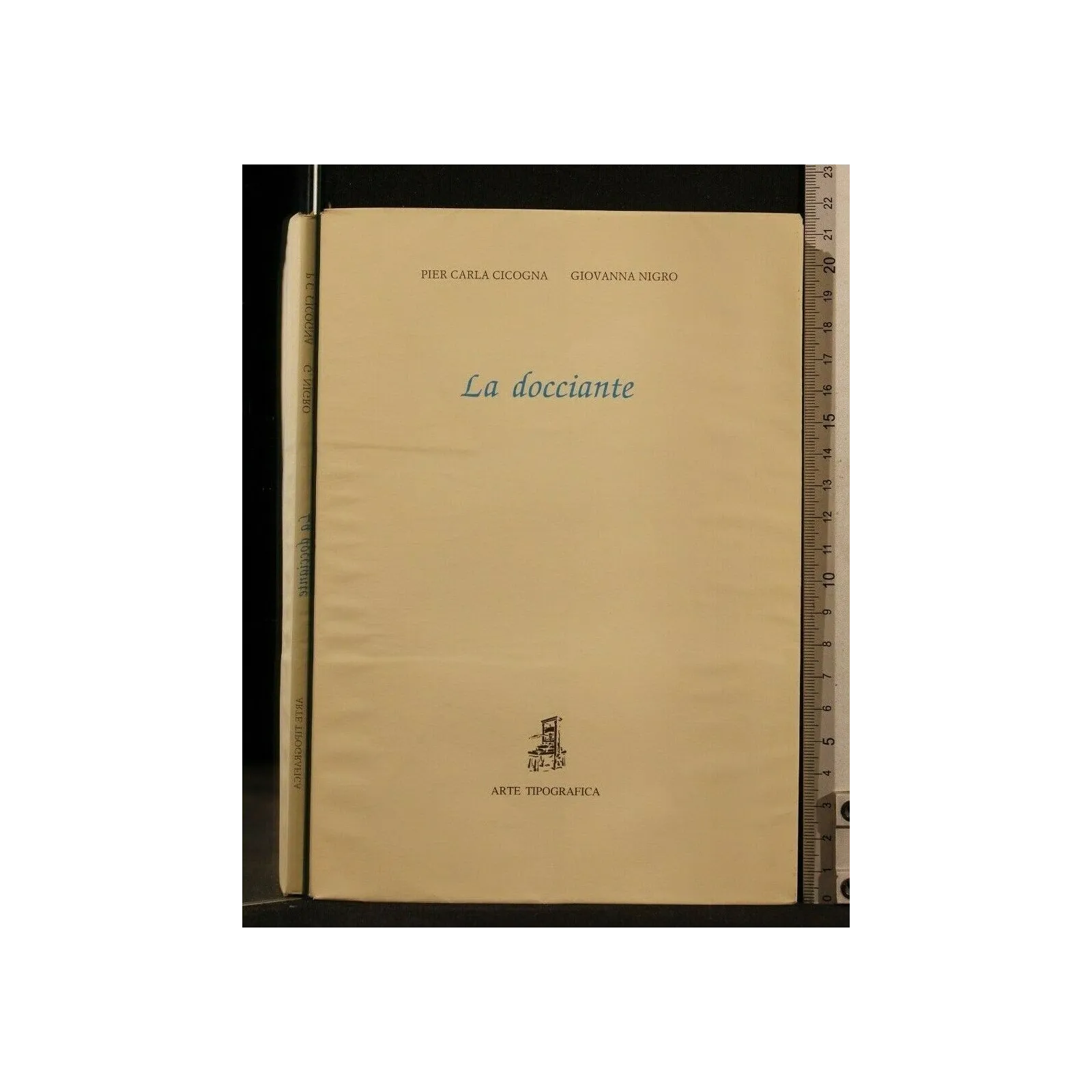 LA DOCCIANTE