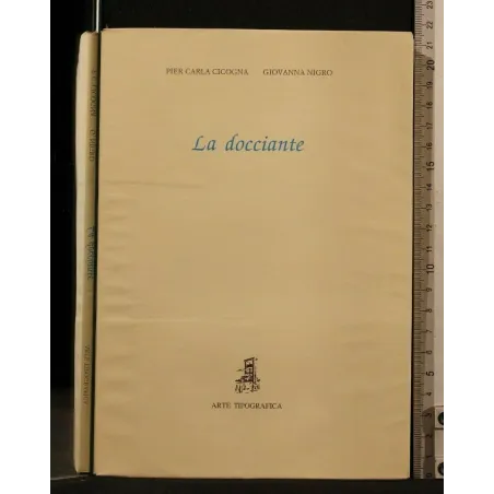 LA DOCCIANTE