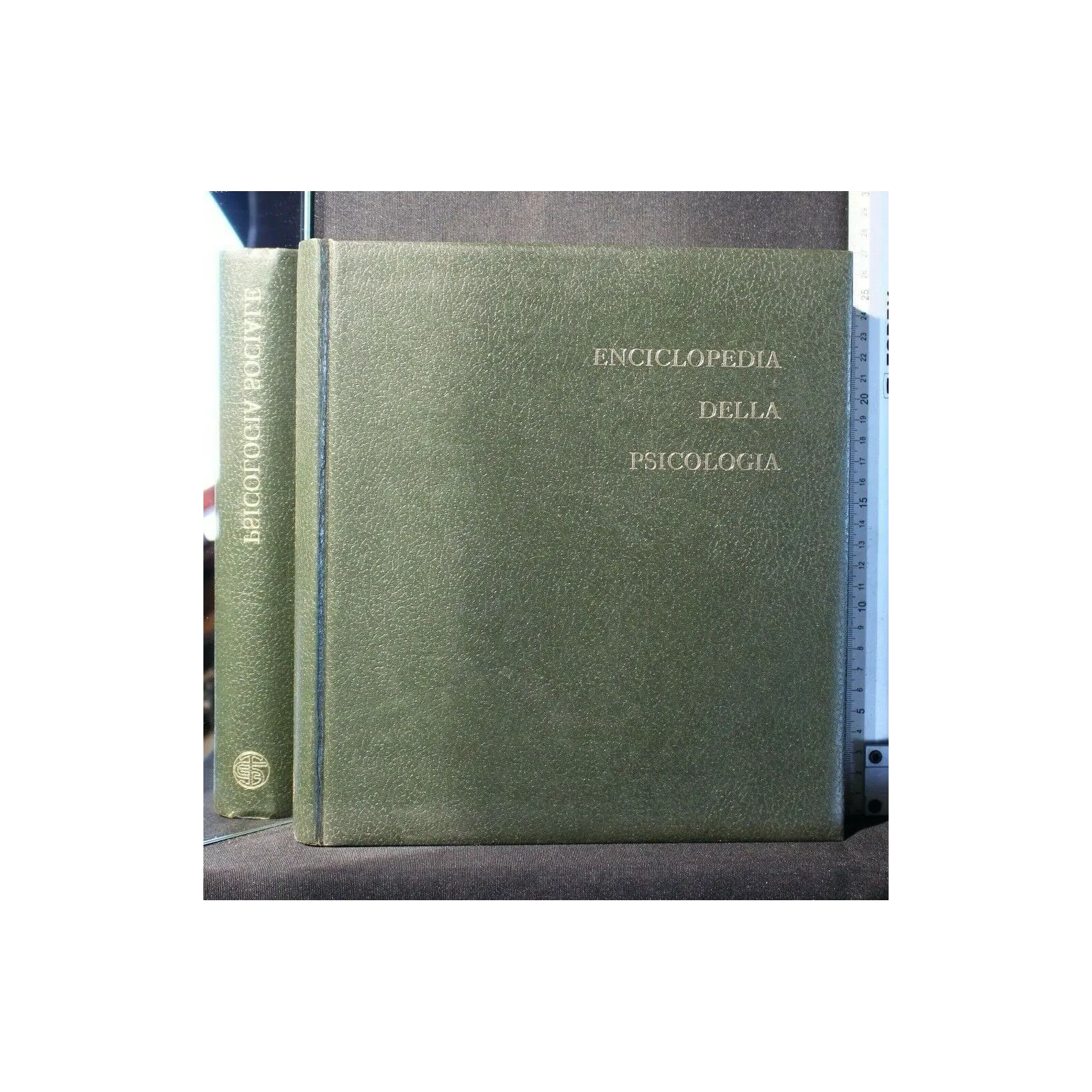 ENCICLOPEDIA DELLA PSICOLOGIA PSICOLOGIA SOCIALE