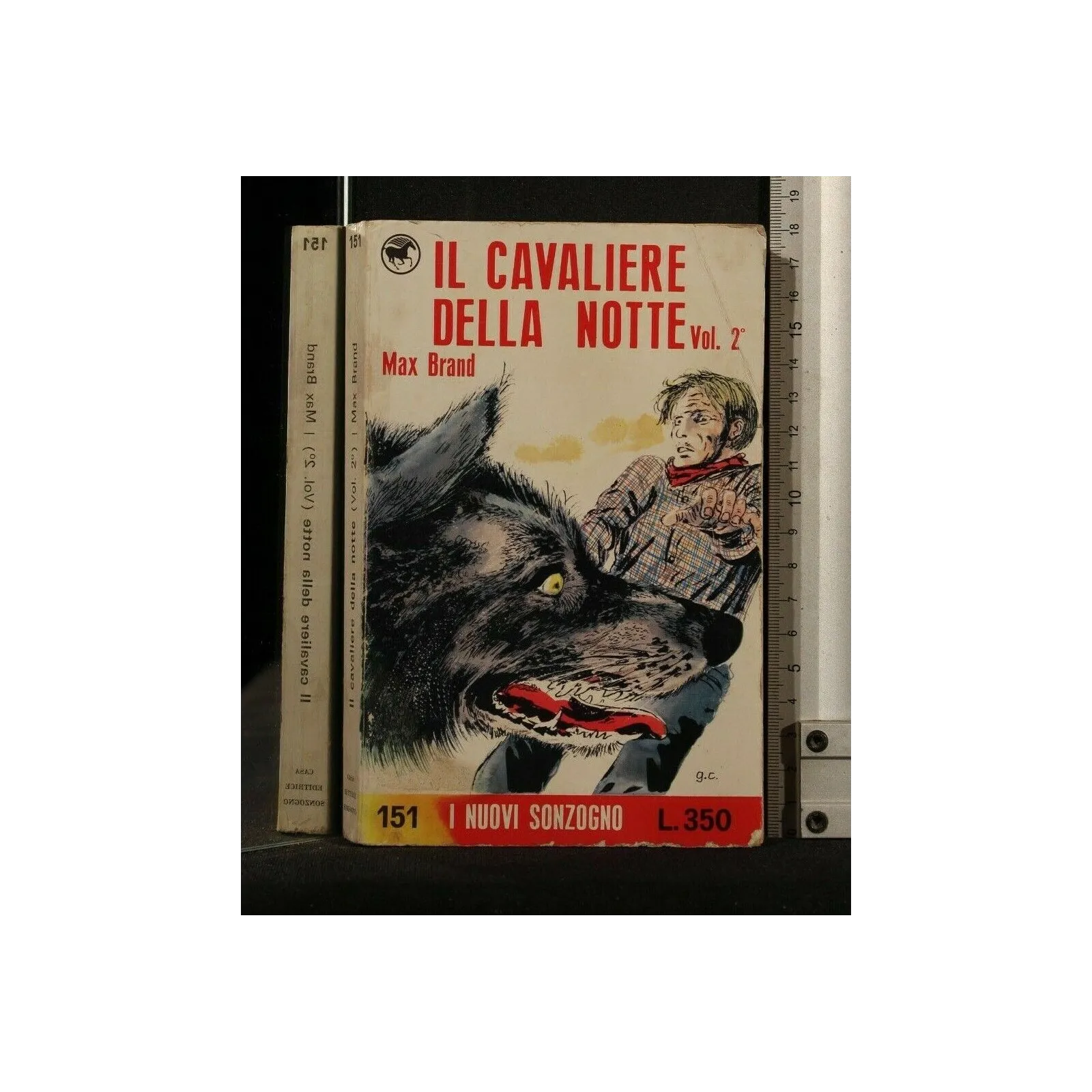 IL CAVALIERE DELLA NOTTE VOL 2