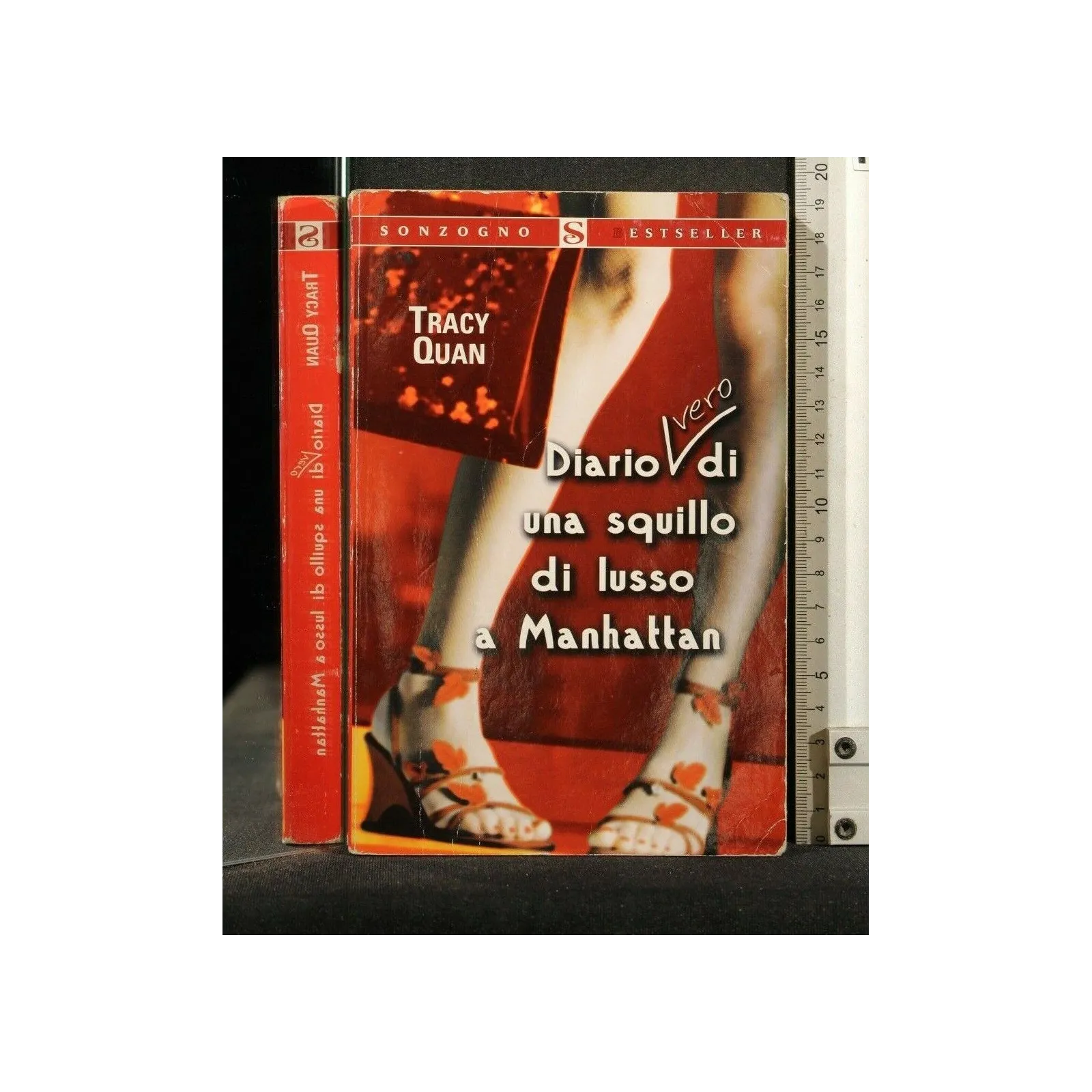 DIARIO VERO DI UNA SQUILLO DI LUSSO A MANHATTAN