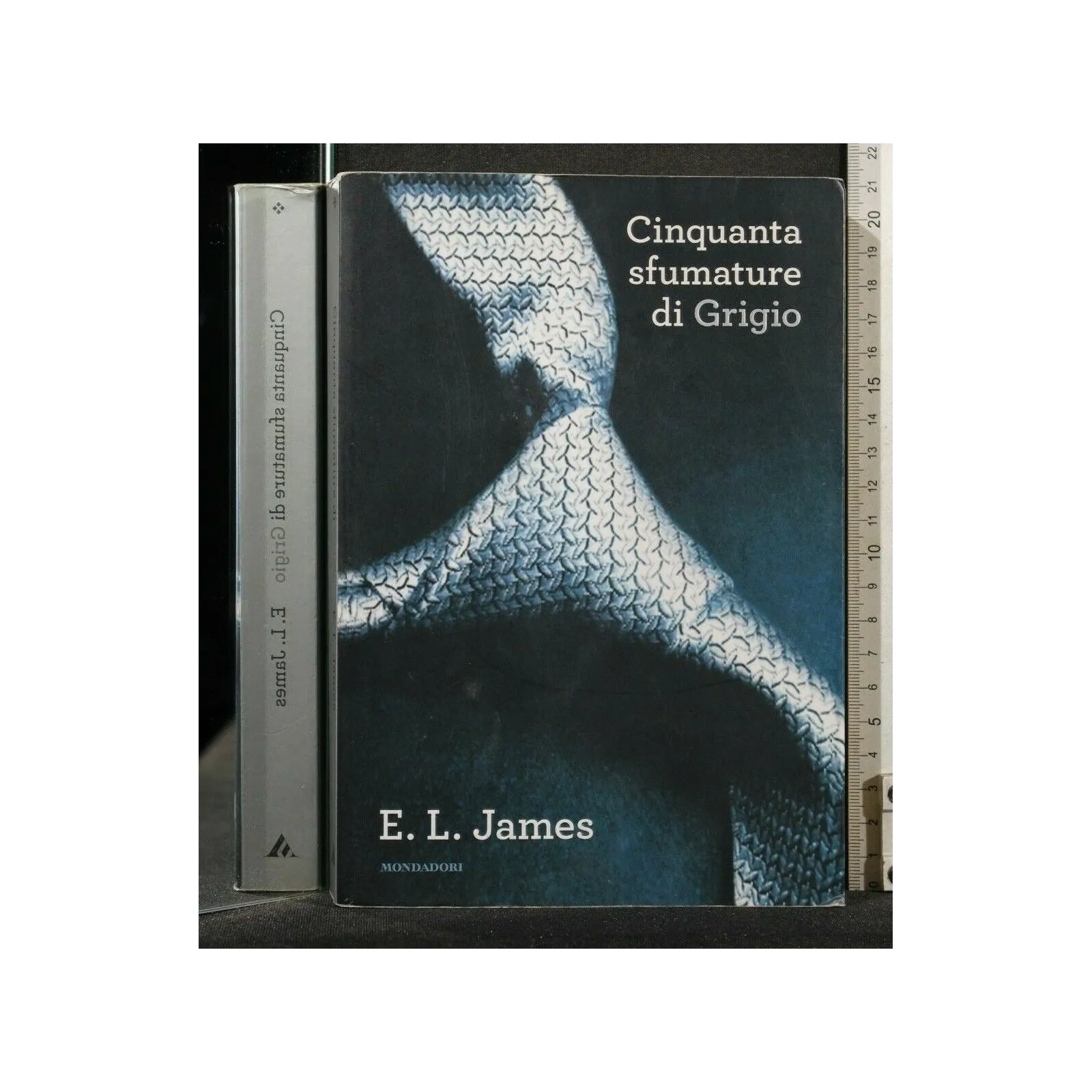 CINQUANTA SFUMATURE DI GRIGIO