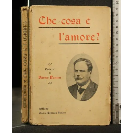 CHE COSA E' L'AMORE?