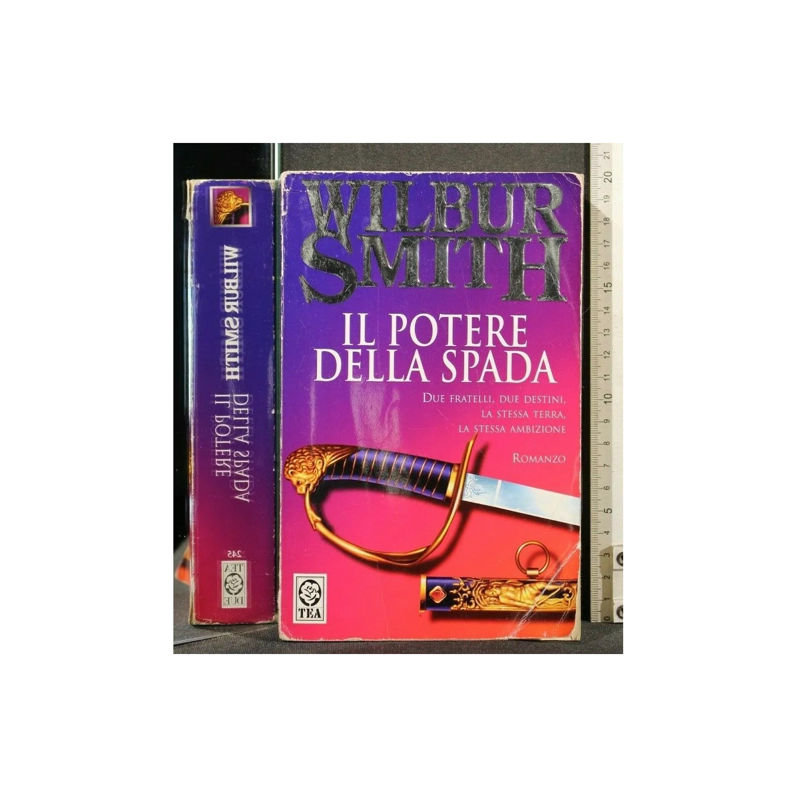 IL POTERE DELLA SPADA