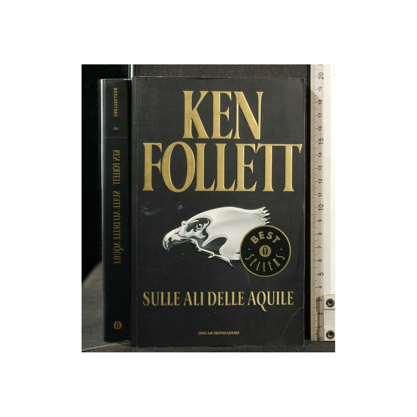 SULLE ALI DELLE AQUILE