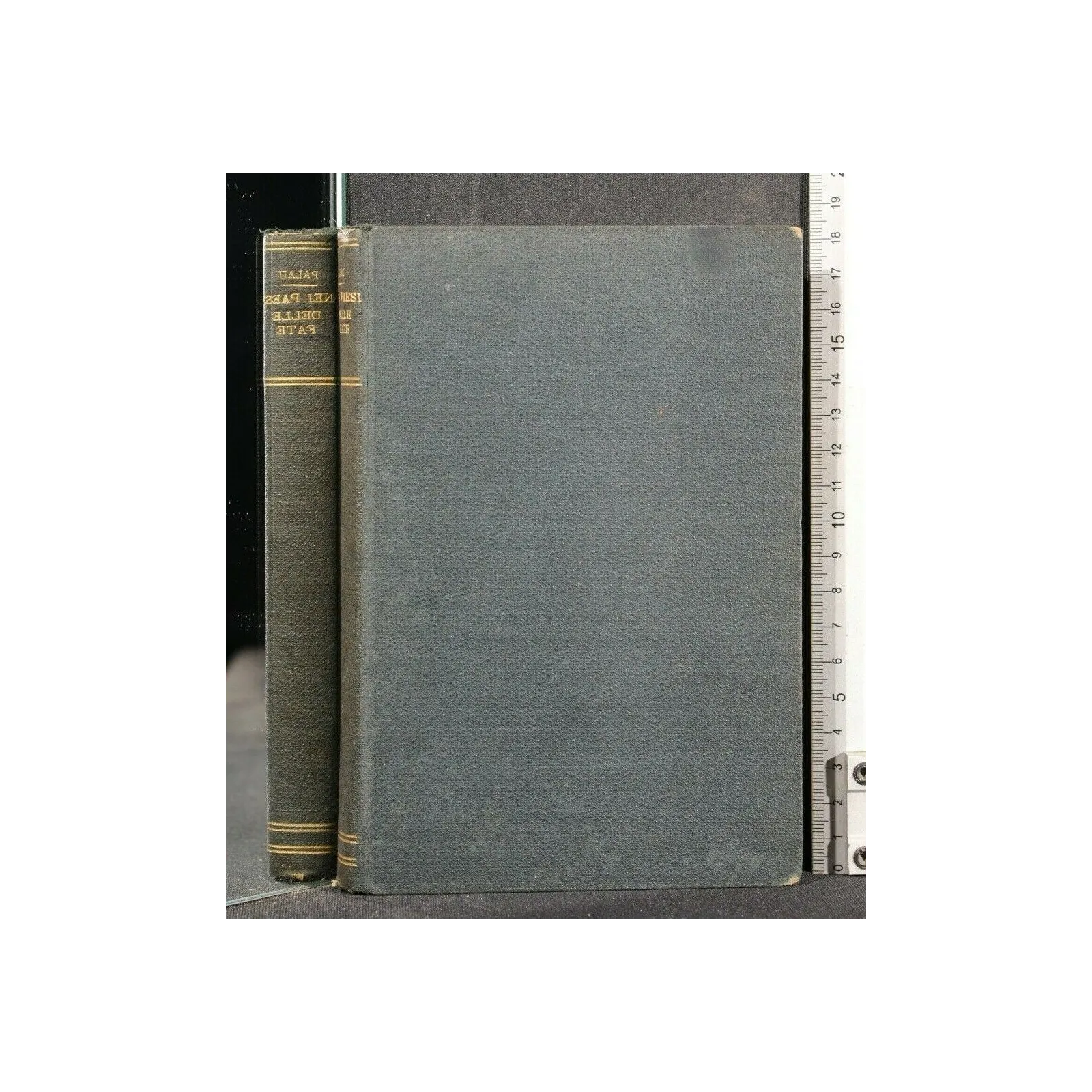 NEI PAESI DELLE FATE