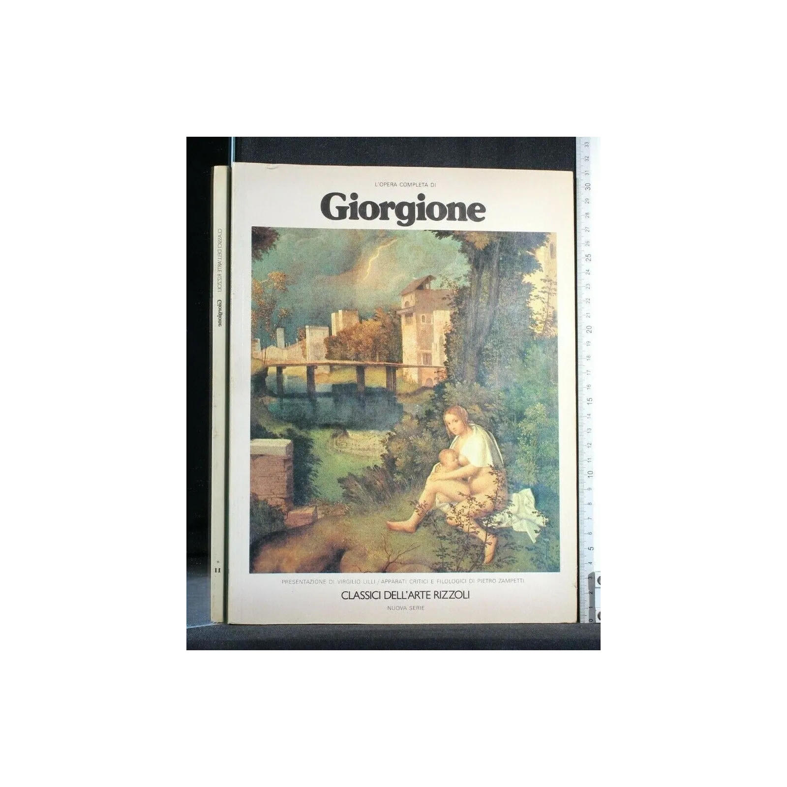 L'OPERA COMPLETA DI GIORGIONE