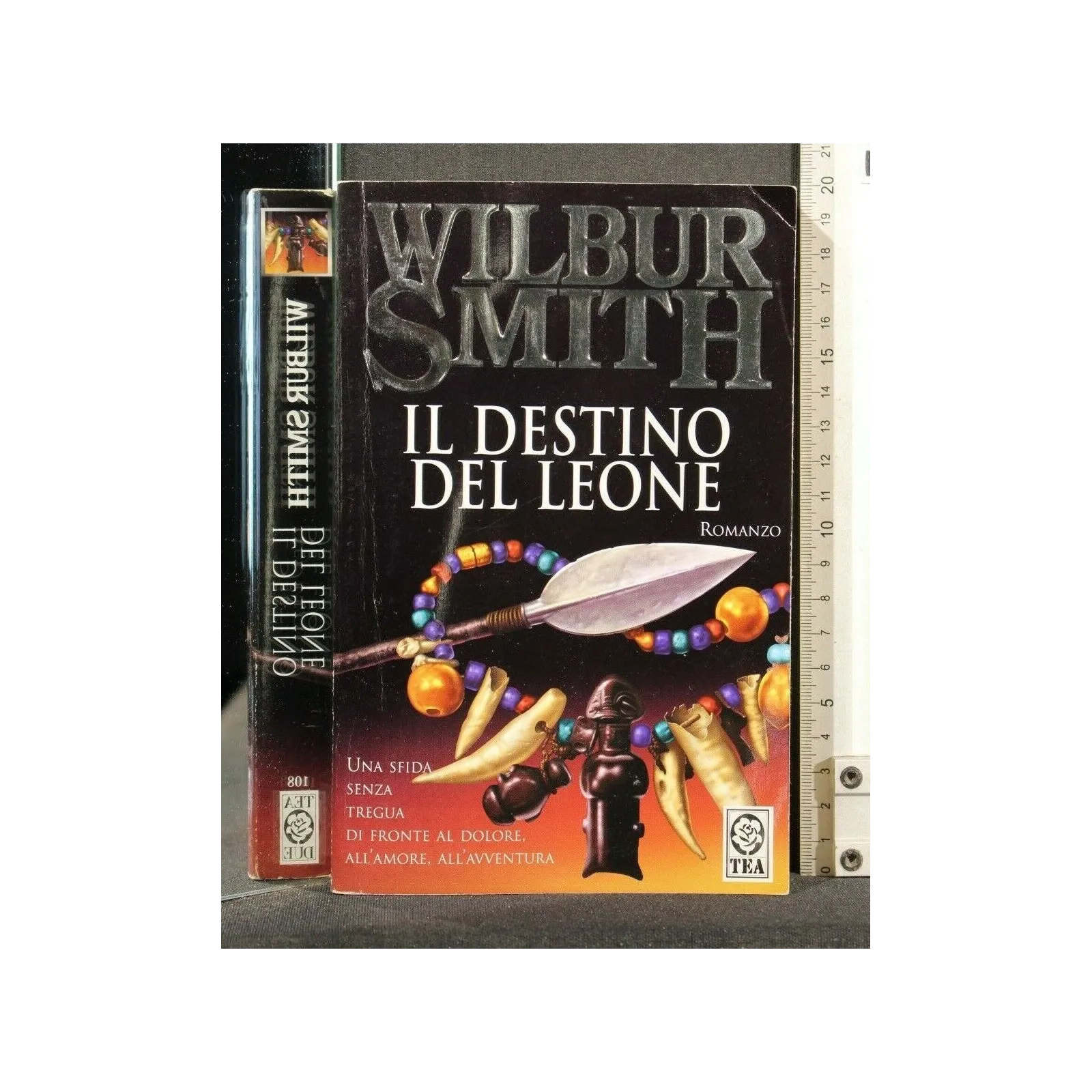 IL DESTINO DEL LEONE