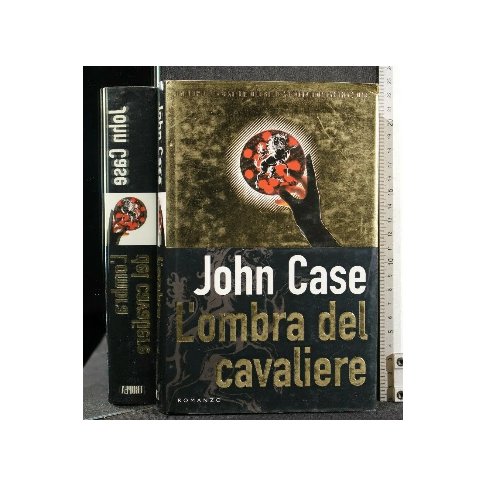 L'OMBRA DEL CAVALIERE