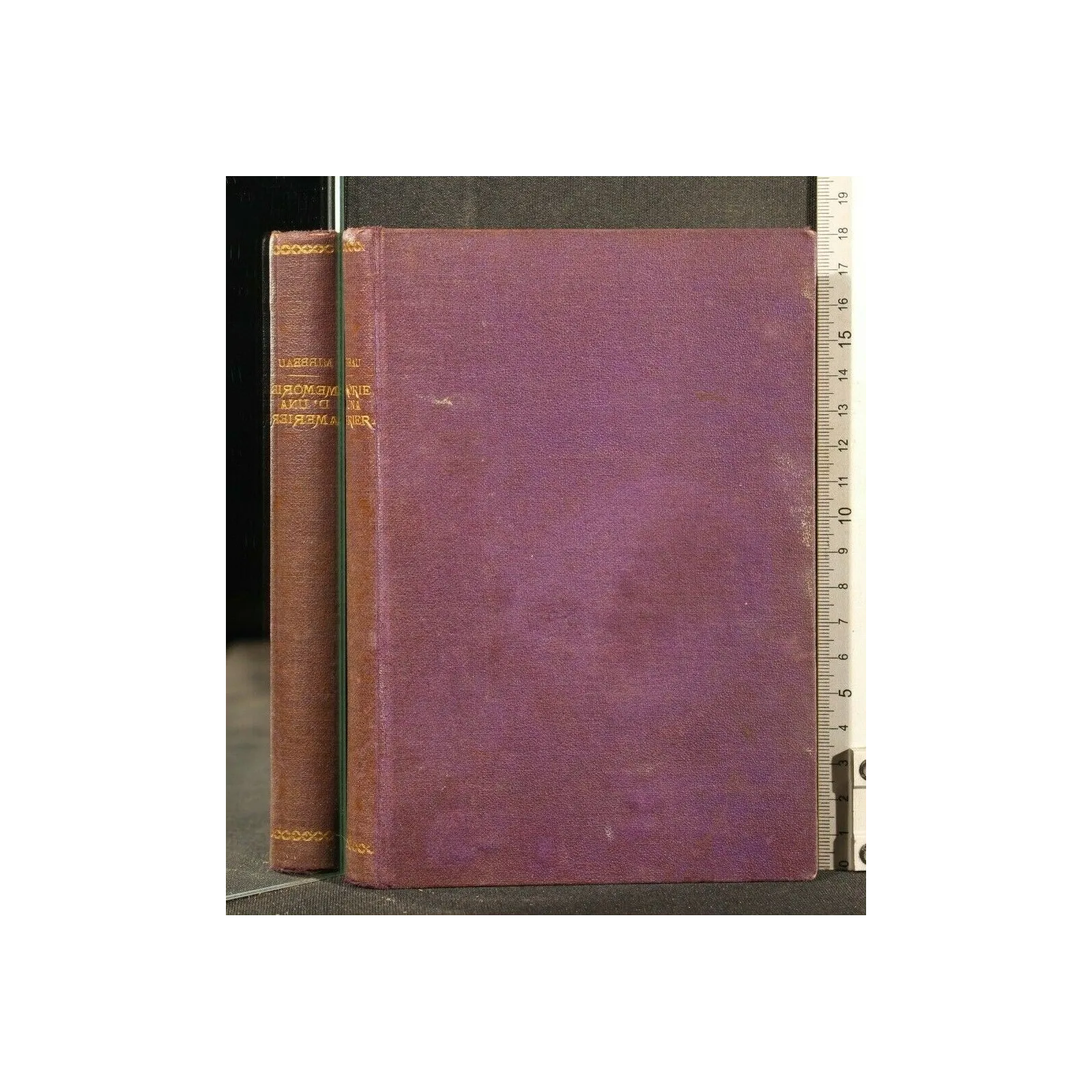 MEMORIE D'UNA CAMERIERA