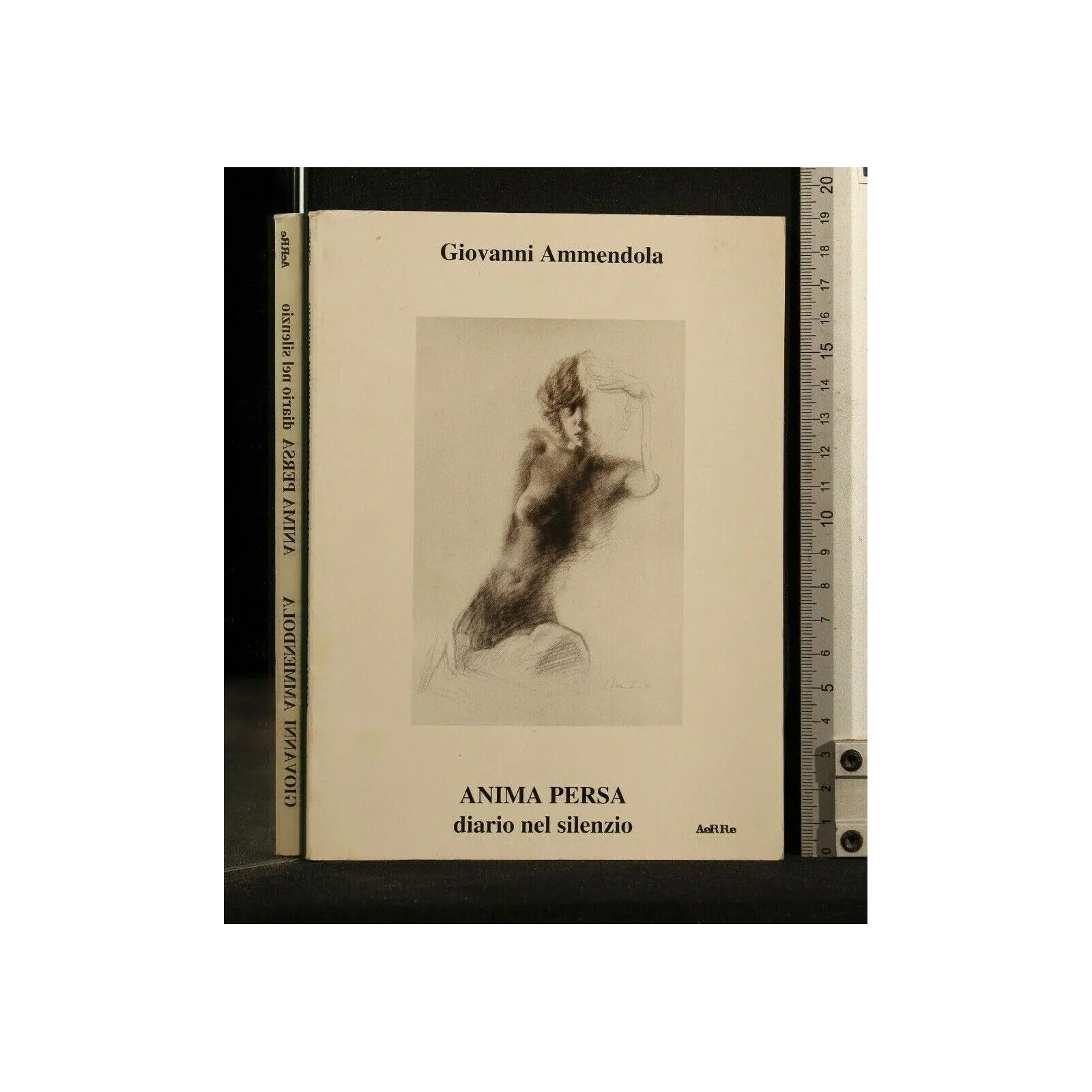 ANIMA PERSA DIARIO NEL SILENZIO